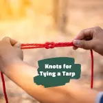 Essential Knots for Tying a Tarp