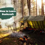 How to Learn Bushcraft