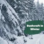 Is Bushcraft Possible in Winter?