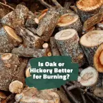 Is Oak or Hickory Better for Burning?