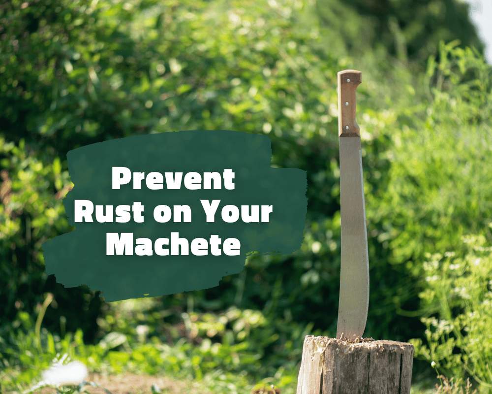 7 Tips for Preventing Rust on Your Machete