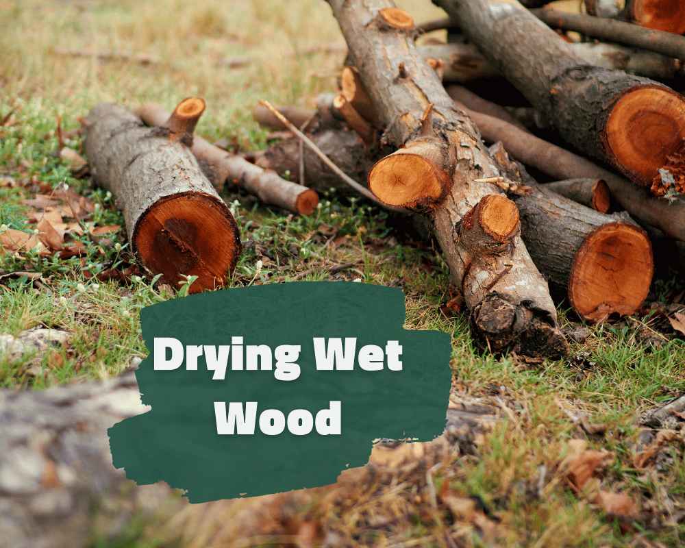 How Long Does Wet Wood Take to Dry?