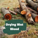 How Long Does Wet Wood Take to Dry?