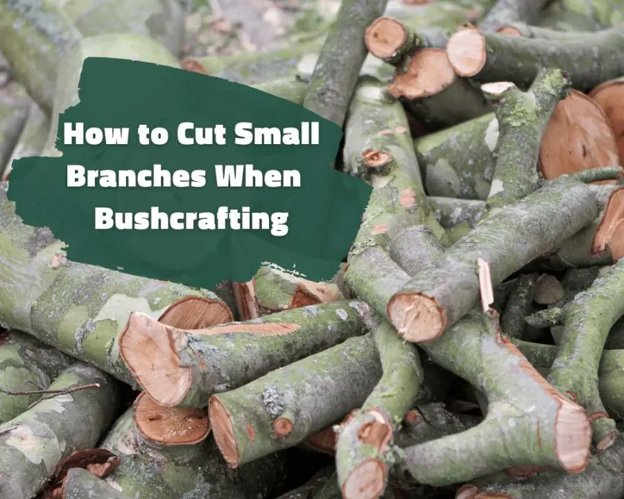 How to Cut Small Branches When You Are Bushcrafting