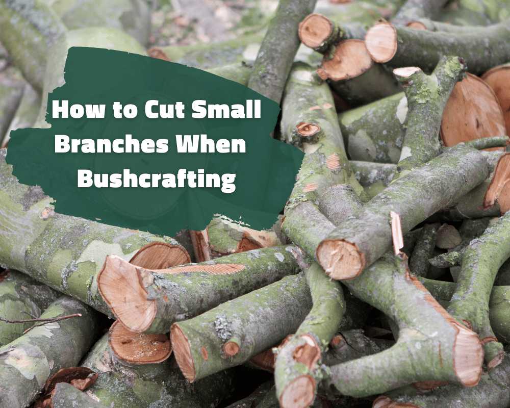 How to Cut Small Branches When You Are Bushcrafting