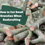 How to Cut Small Branches When You Are Bushcrafting