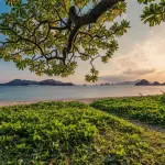 How a Weekend Bushcraft Trip Transformed My Life Forever: A Personal Story